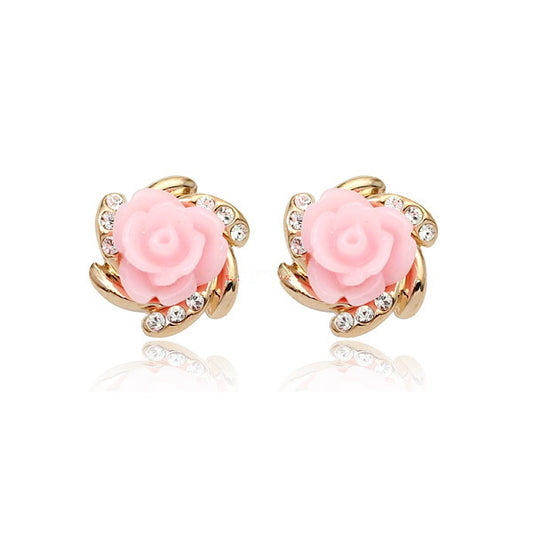 C418   Fashion Earrings