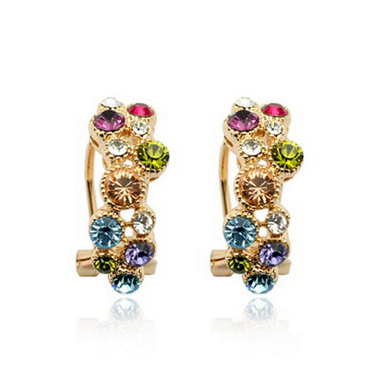 C520   Fashion Earrings