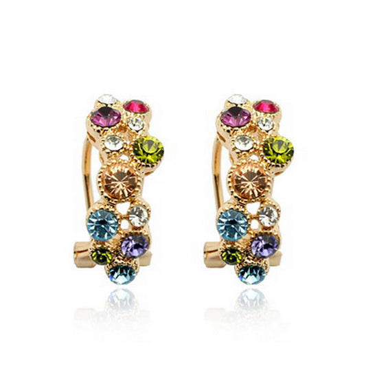 C3621   Fashion Earrings