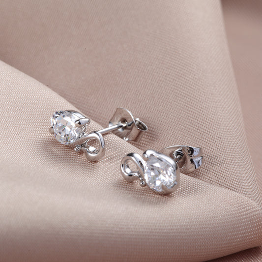 C262   Fashion Earrings