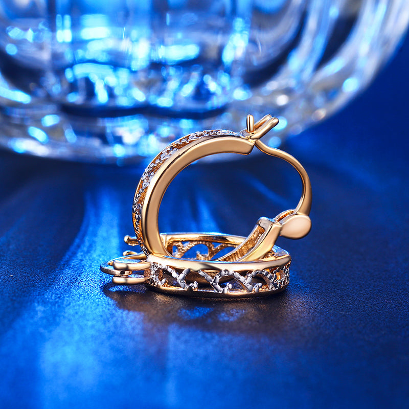 C2977   Fashion Earrings