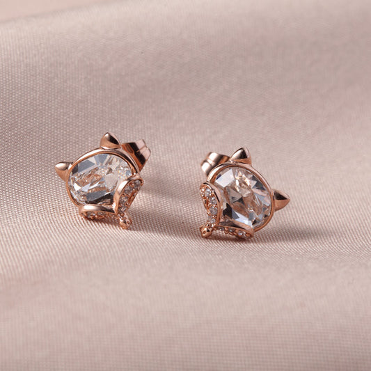 C3278   Fashion Earrings