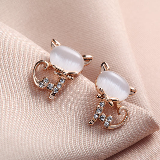 C241   Fashion Earrings