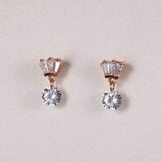 C113   Fashion Earrings