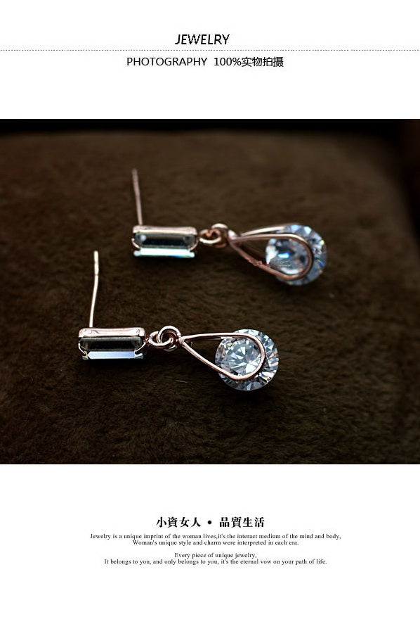 C17   Fashion Earrings