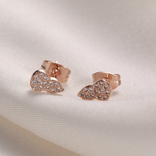 C253   Fashion Earrings