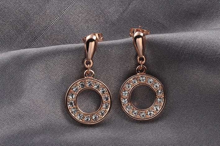 C4602   Fashion Earrings