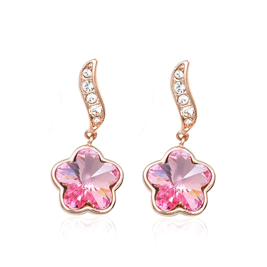 C930   Fashion Earrings
