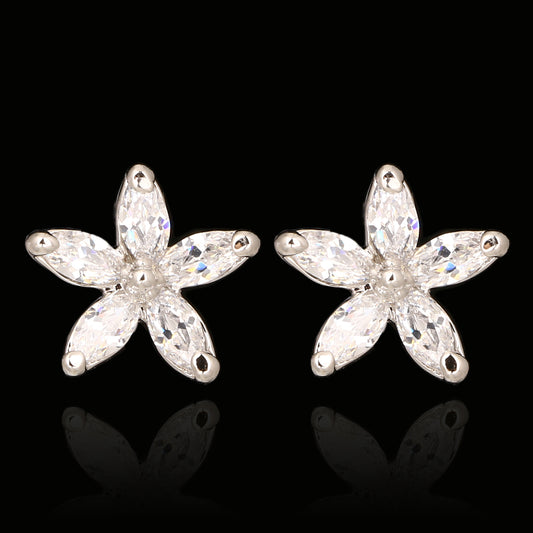 C5570   Fashion Earrings