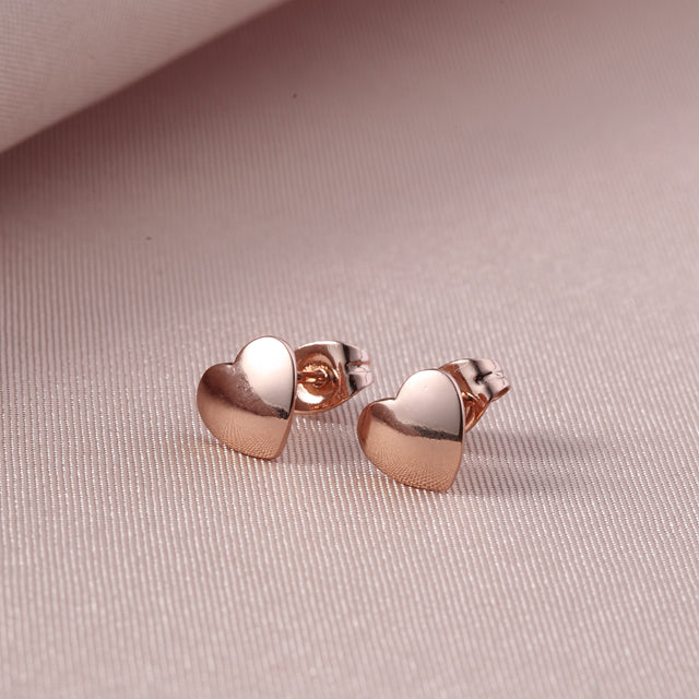 C211   Fashion Earrings