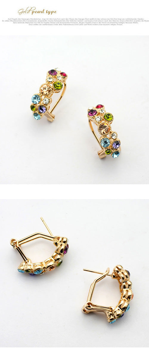 C3643   Fashion Earrings