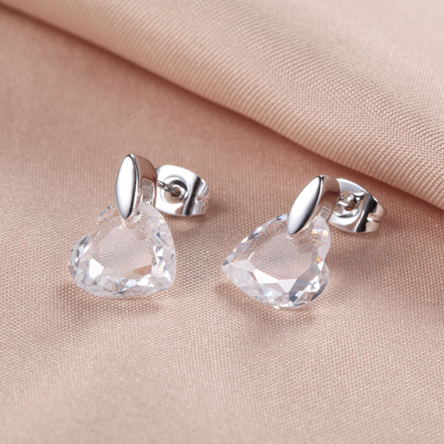 C341   Fashion Earrings