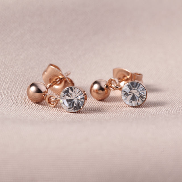 C254   Fashion Earrings