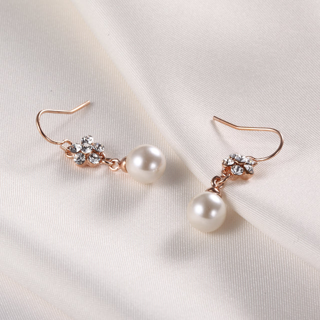 C6026   Fashion Earrings