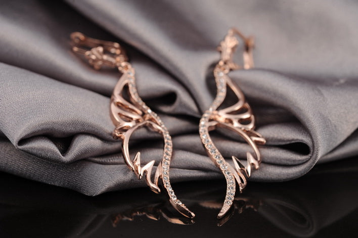 C5303   Fashion Earrings