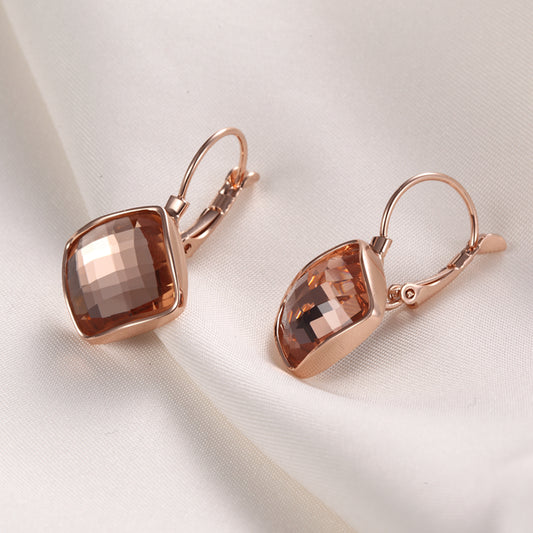 C226   Fashion Earrings