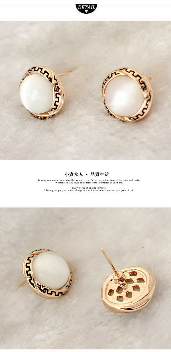 C321   Fashion Earrings