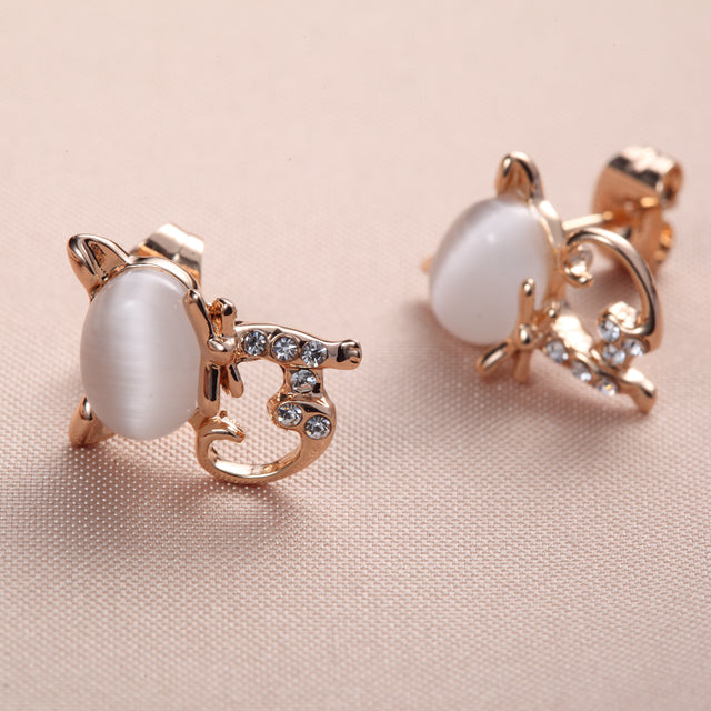 C241   Fashion Earrings