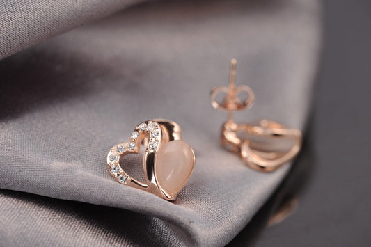 C439   Fashion Earrings