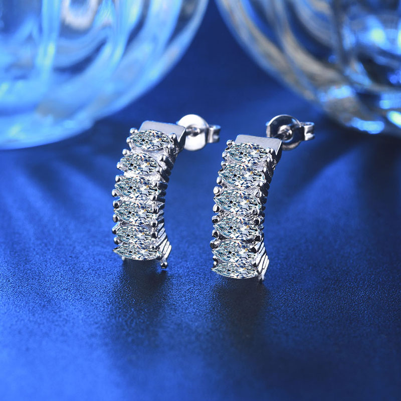 C2913   Fashion Earrings