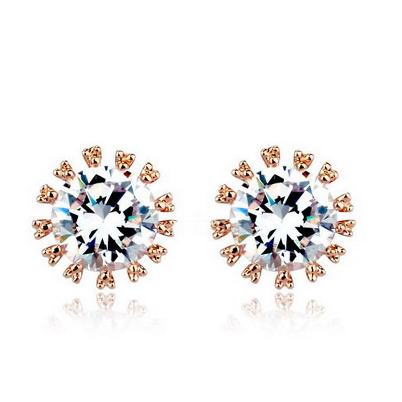 C507   Fashion Earrings