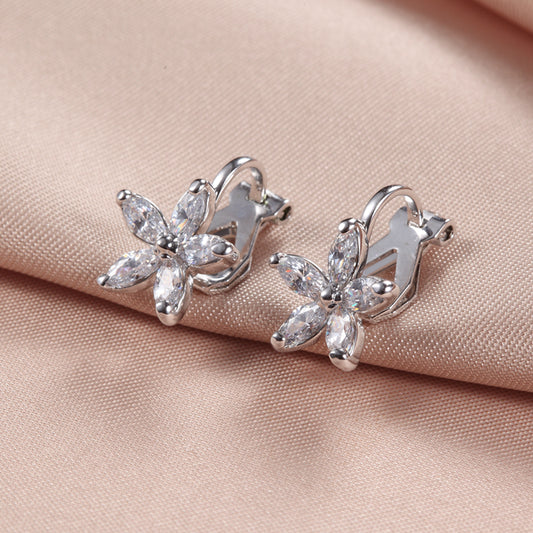C210   Fashion Earrings