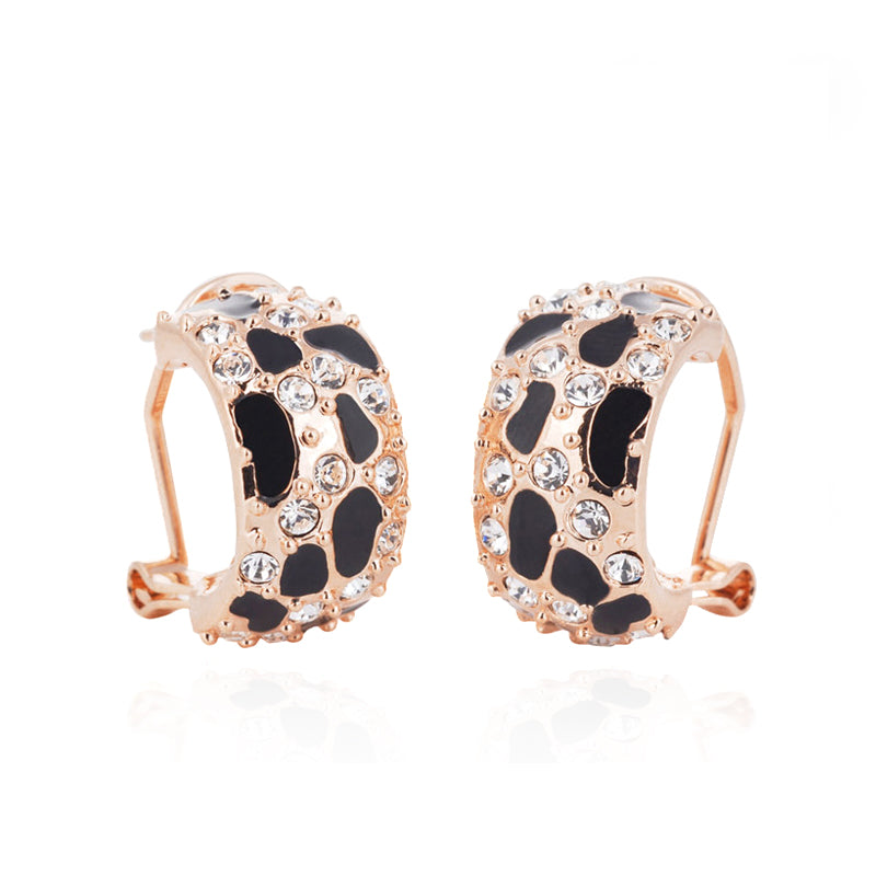 C5935   Fashion Earrings