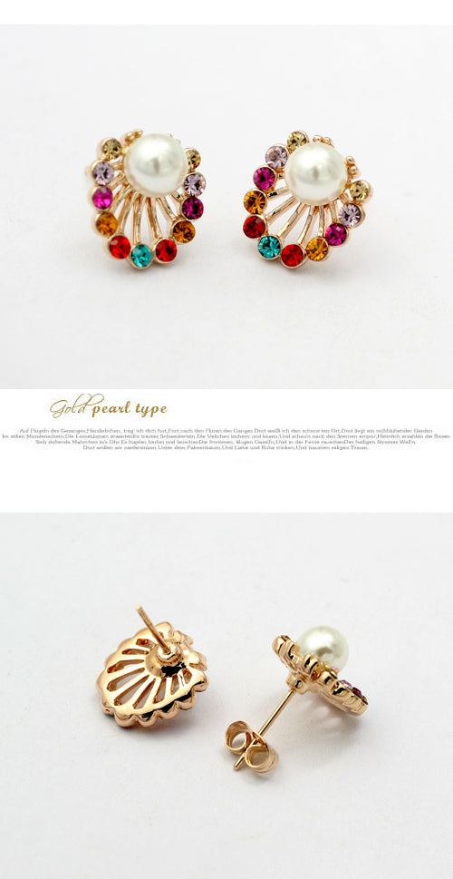 C453   Fashion Earrings