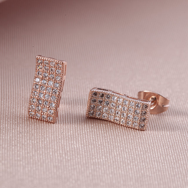 C6001    Fashion Earrings
