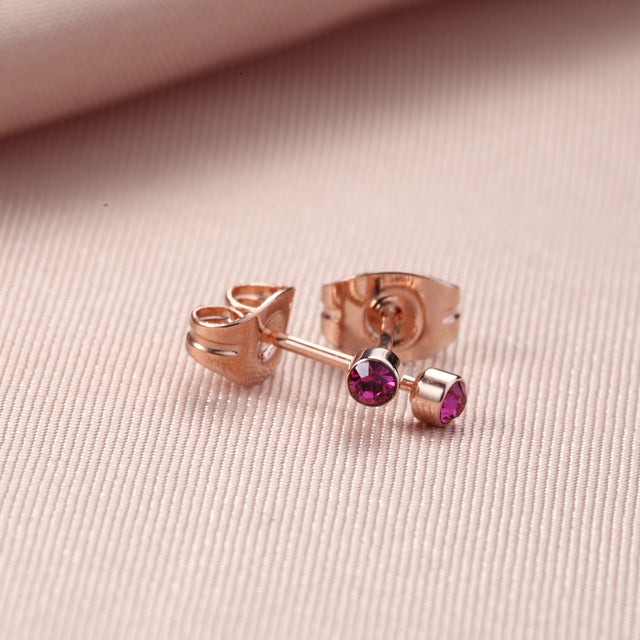 C306   Fashion Earrings