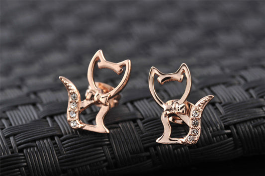 C2373   Fashion Earrings