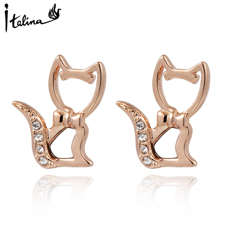 C522   Fashion Earrings