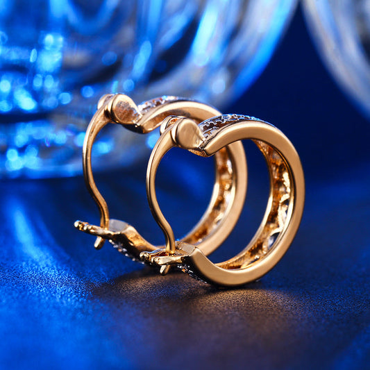 C4201   Fashion Earrings