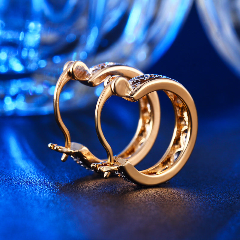 C4595   Fashion Earrings