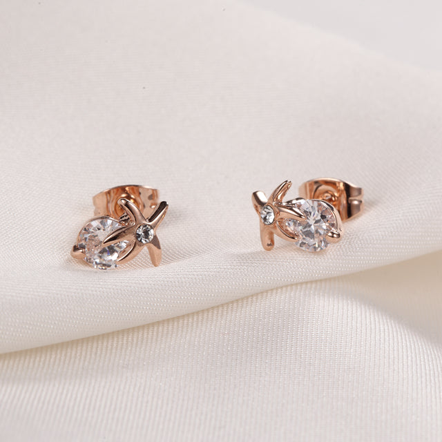 C2289   Fashion Earrings