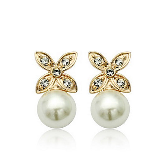 C534   Fashion Earrings