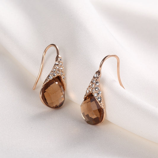C142   Fashion Earrings