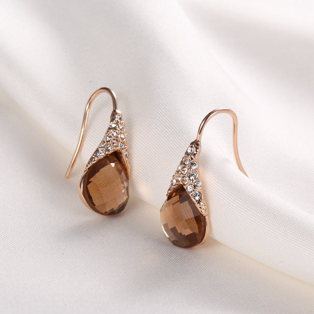 C4632   Fashion Earrings