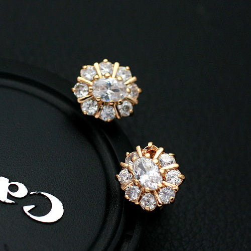 C98   Fashion Earrings