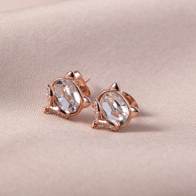 C5973   Fashion Earrings