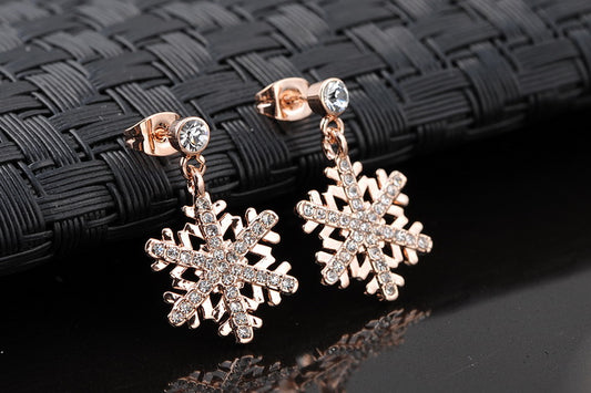 C415   Fashion Earrings