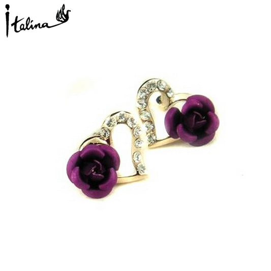 C528   Fashion Earrings
