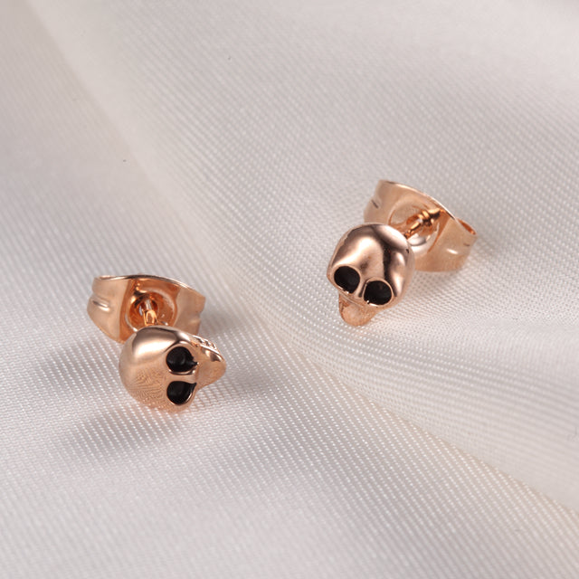 C222   Fashion Earrings
