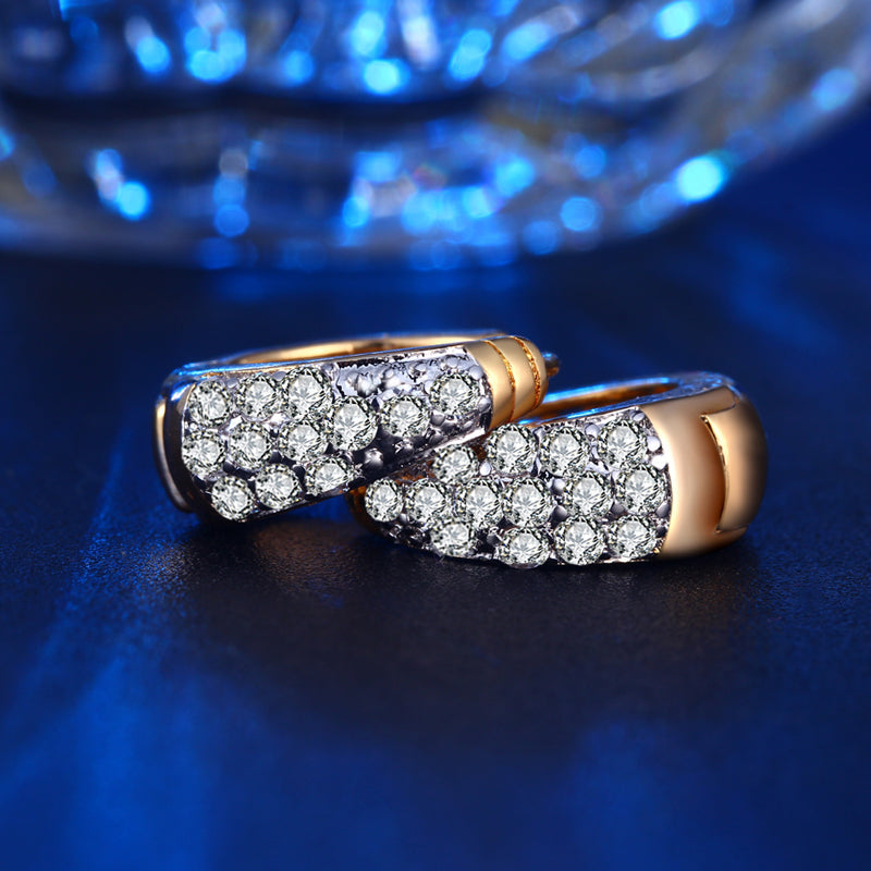 C3725   Fashion Earrings