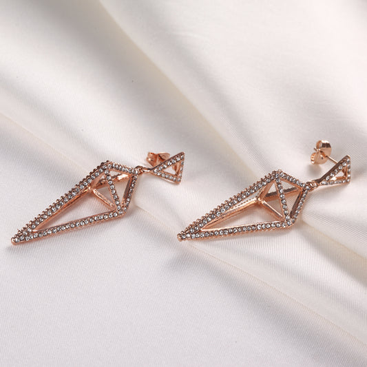C135   Fashion Earrings