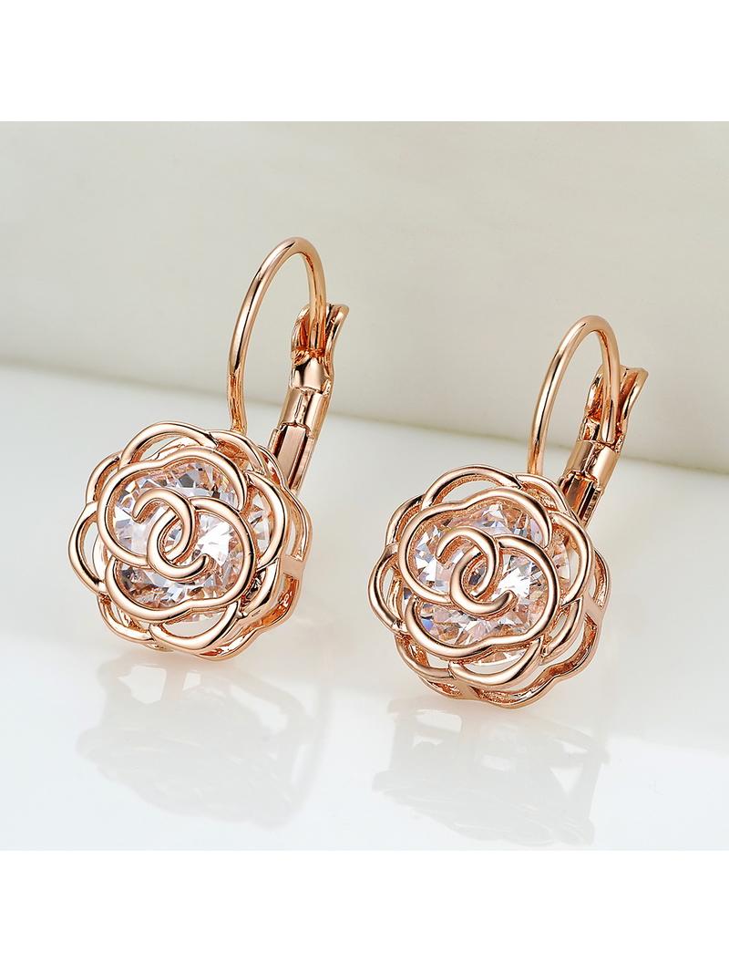 C5487   Fashion Earrings