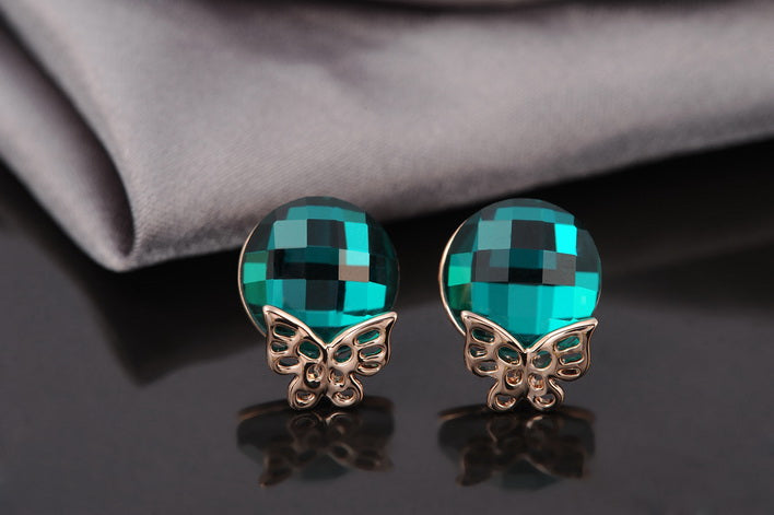 C427   Fashion Earrings