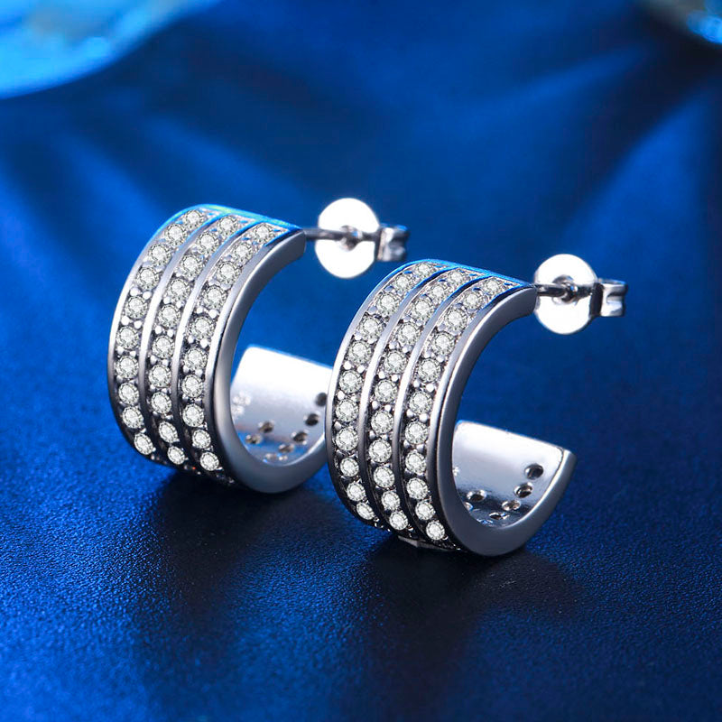 C4492   Fashion Earrings