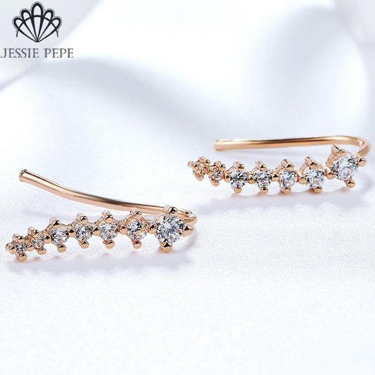 C746   Fashion Earrings