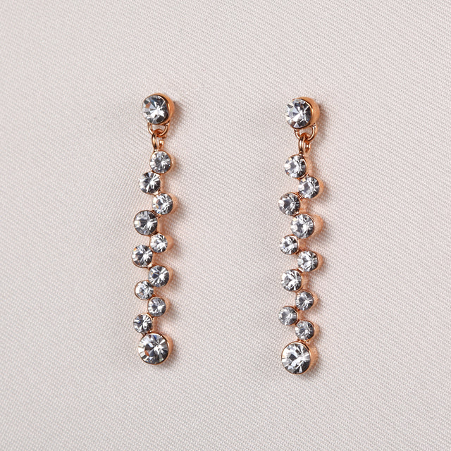 C205   Fashion Earrings